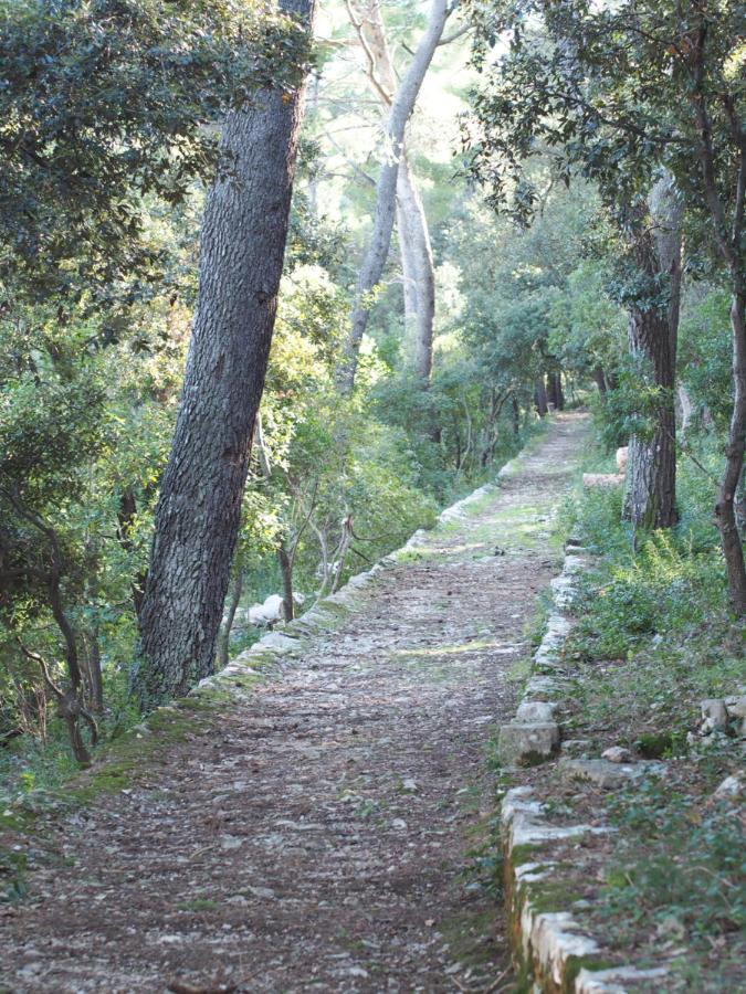 Apartments Cvitanovic Korcula Εξωτερικό φωτογραφία